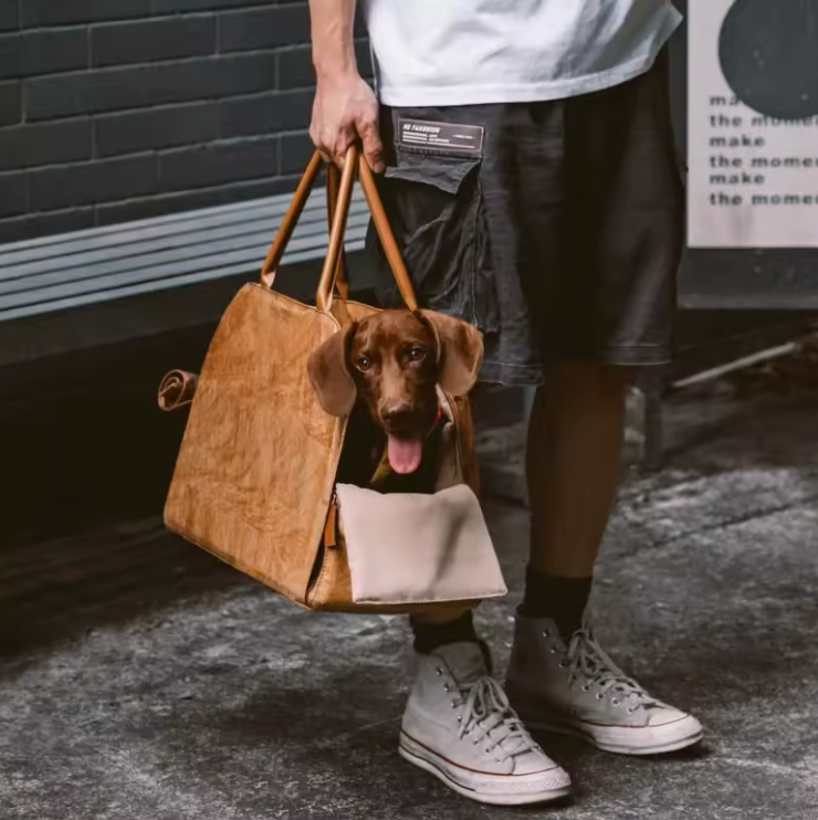Sac de Transport Premium