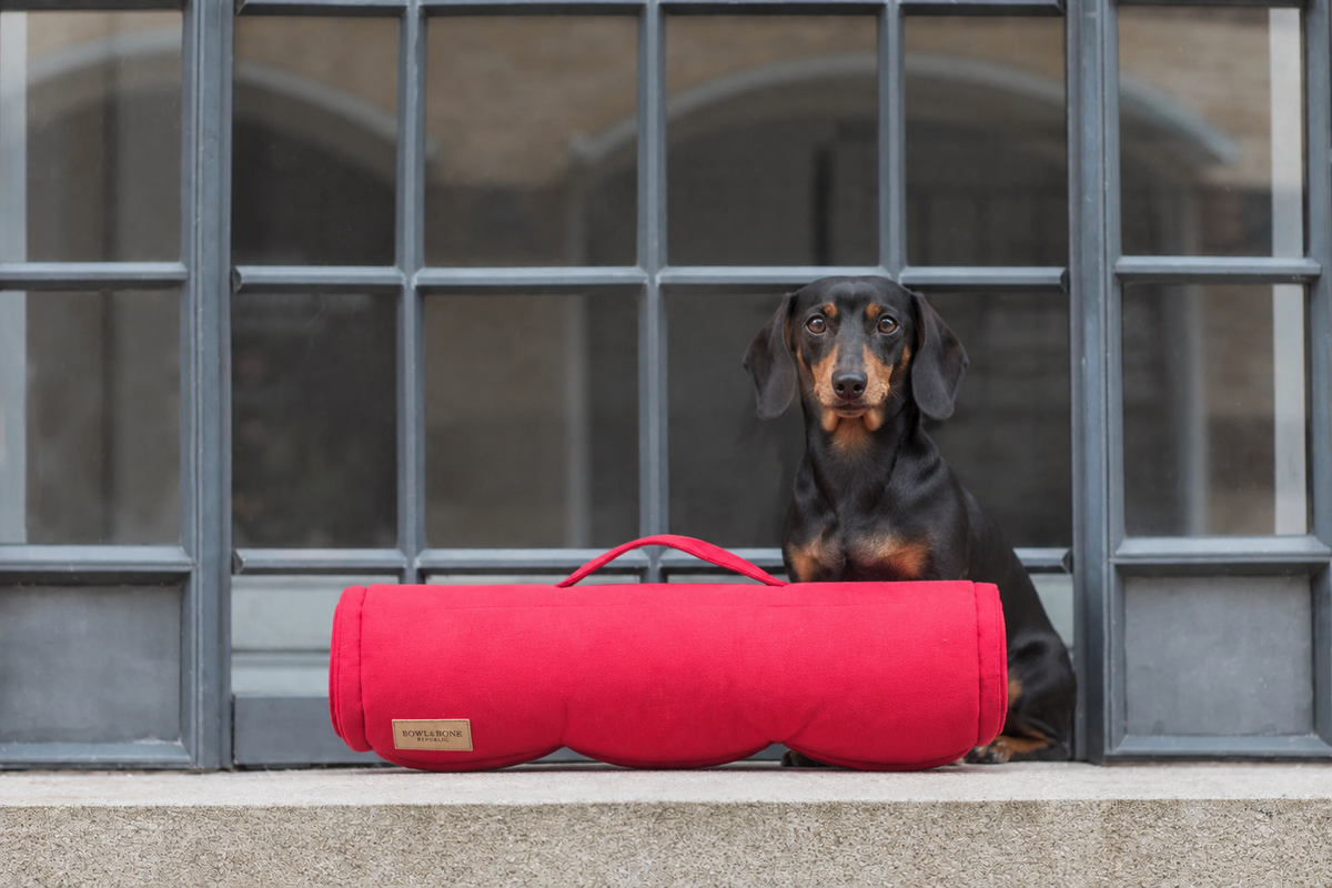 Tapis de Voyage Classic pour Teckel - Rouge