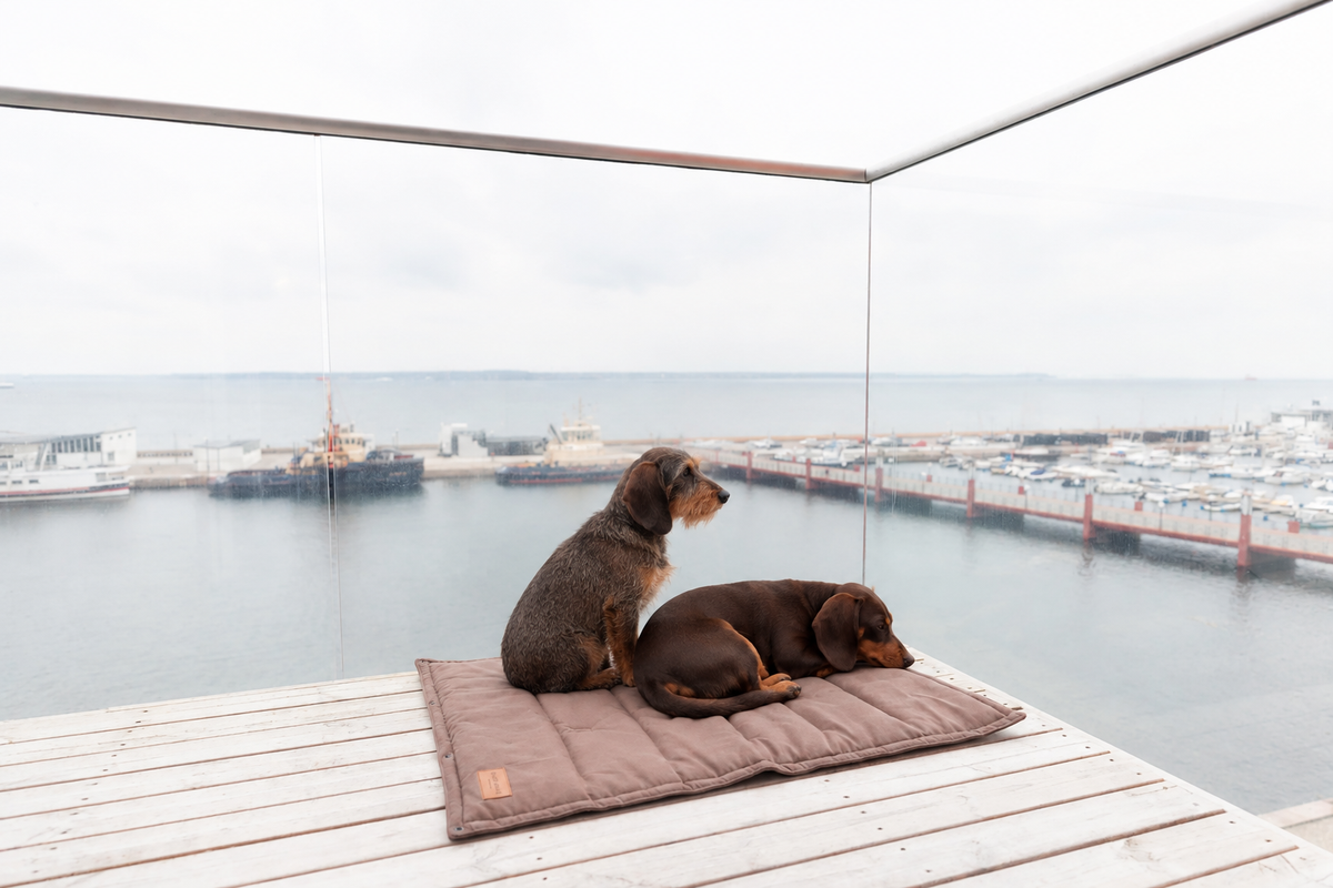 Tapis de Voyage Classic pour Teckel - Marron