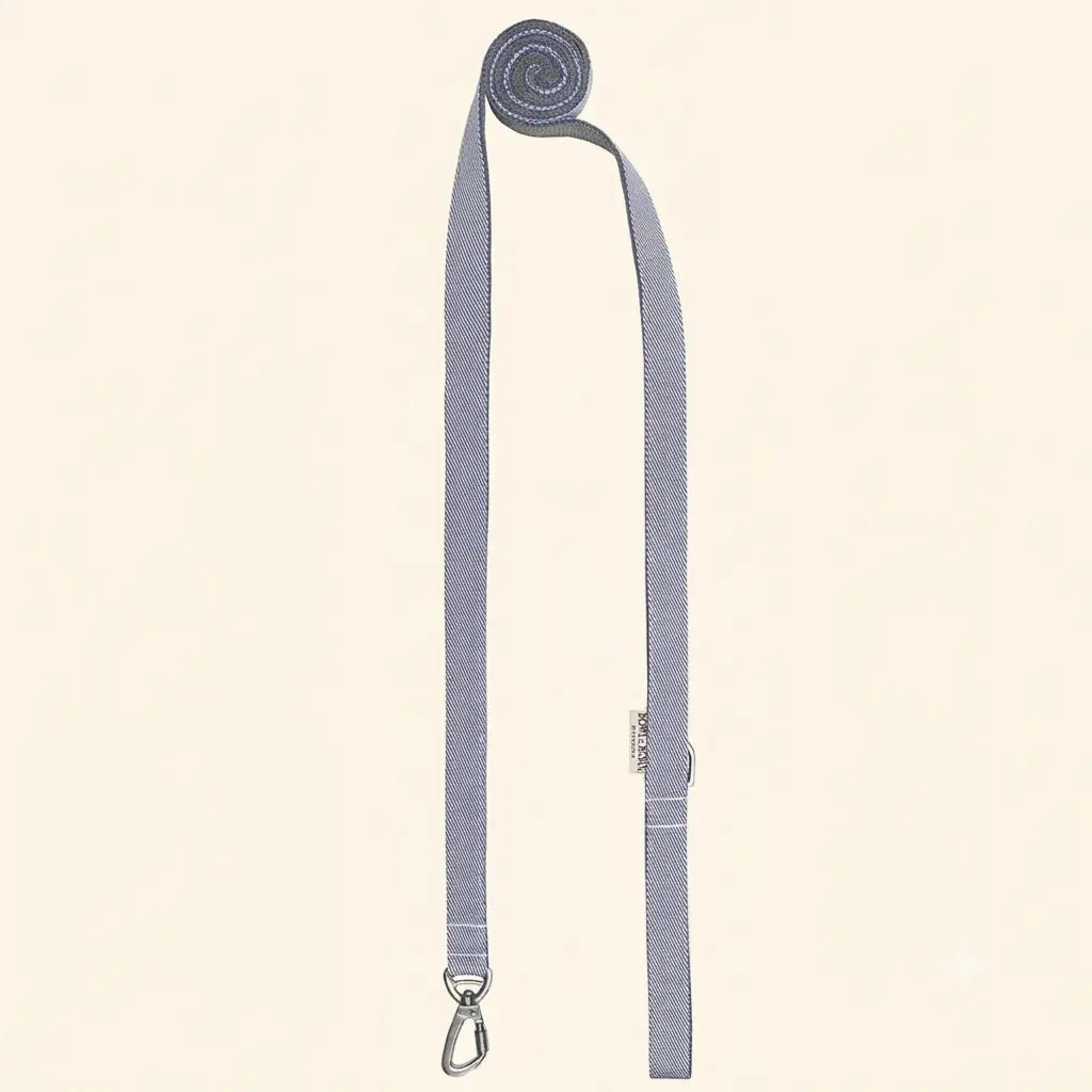 Laisse pour Teckel BREEZE