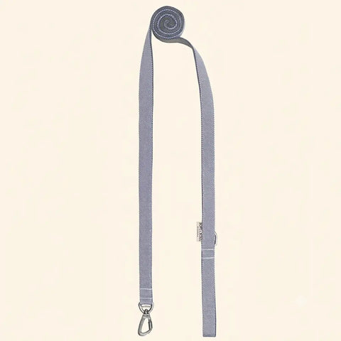 Laisse pour Teckel BREEZE