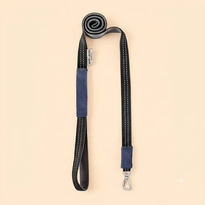 Laisse pour Teckel CANDY