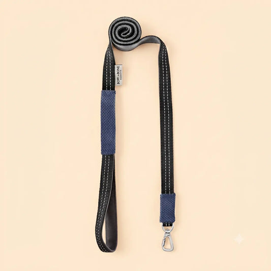 Laisse pour Teckel CANDY