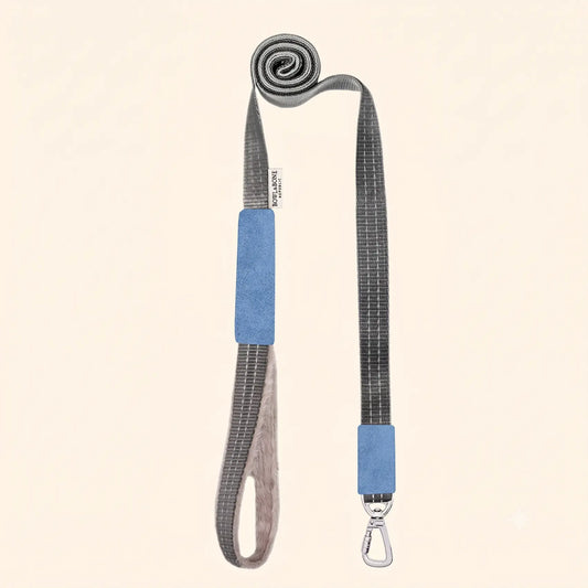 Laisse pour Teckel YETI