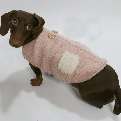 Pull pour Teckel