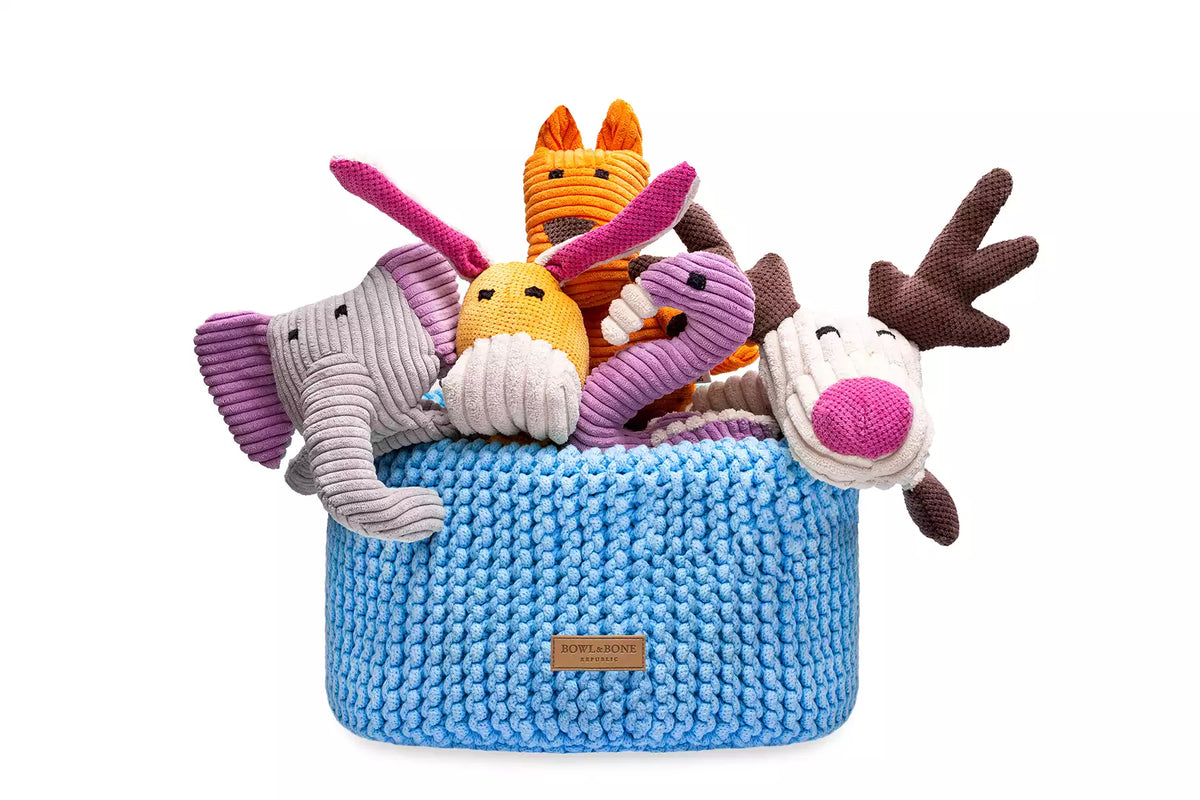 Panier de Rangement Double pour Jouets de Teckel - Bleu
