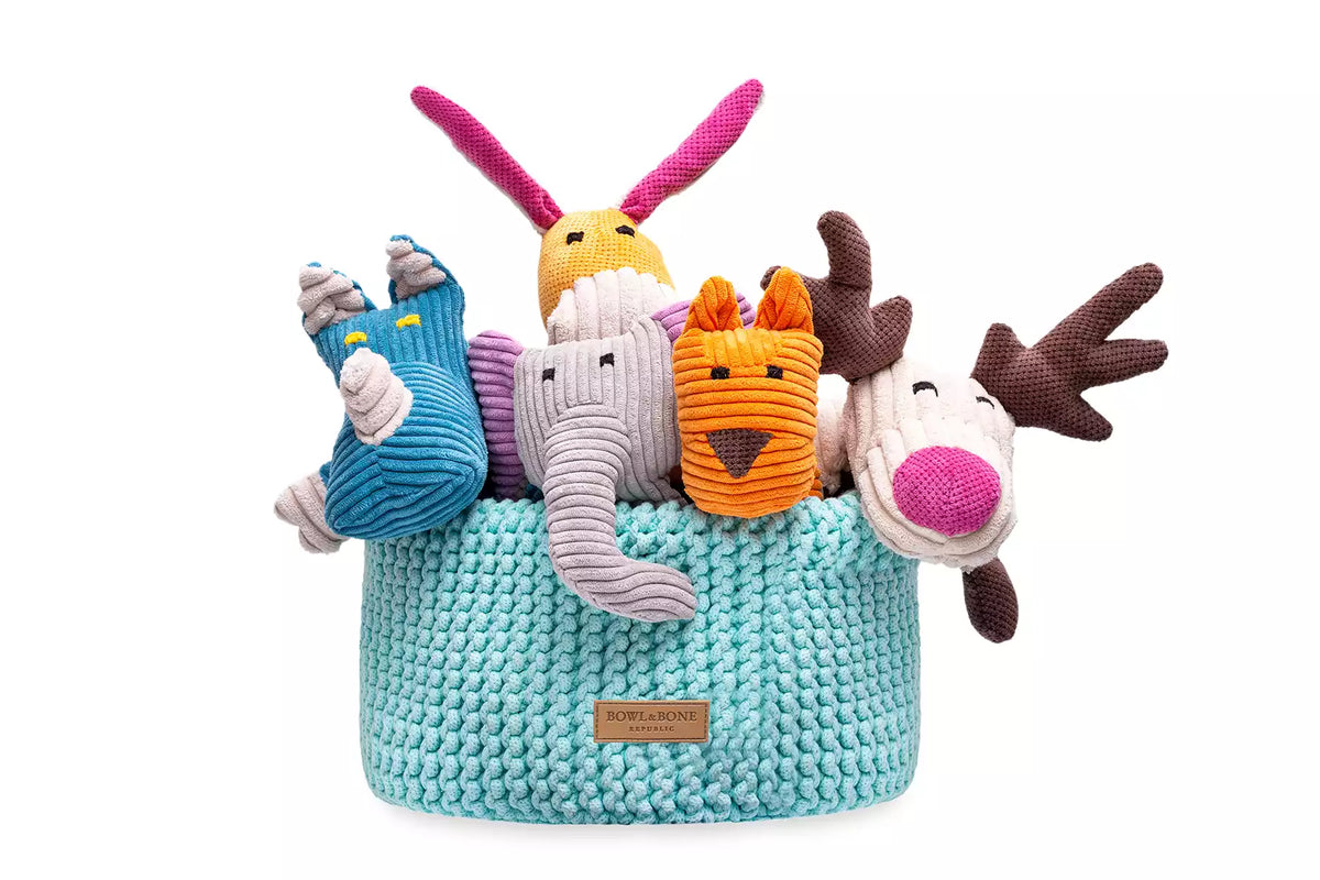 Panier de Rangement Double pour Jouets de Teckel - Menthe