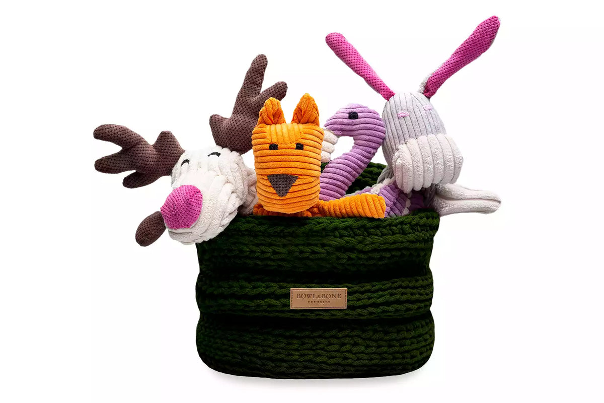 Panier de Rangement Ring pour Jouets de Teckel - Vert