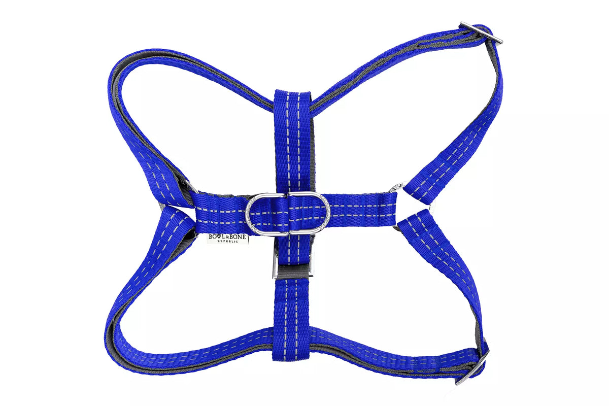Harnais Active pour Teckel - Bleu