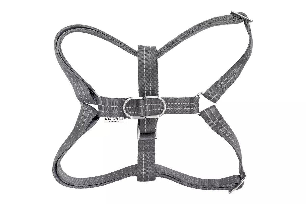 Harnais Active pour Teckel - Gris