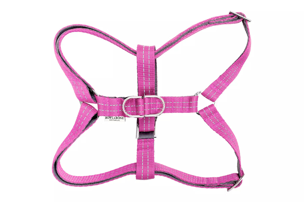 Harnais Active pour Teckel - Rose