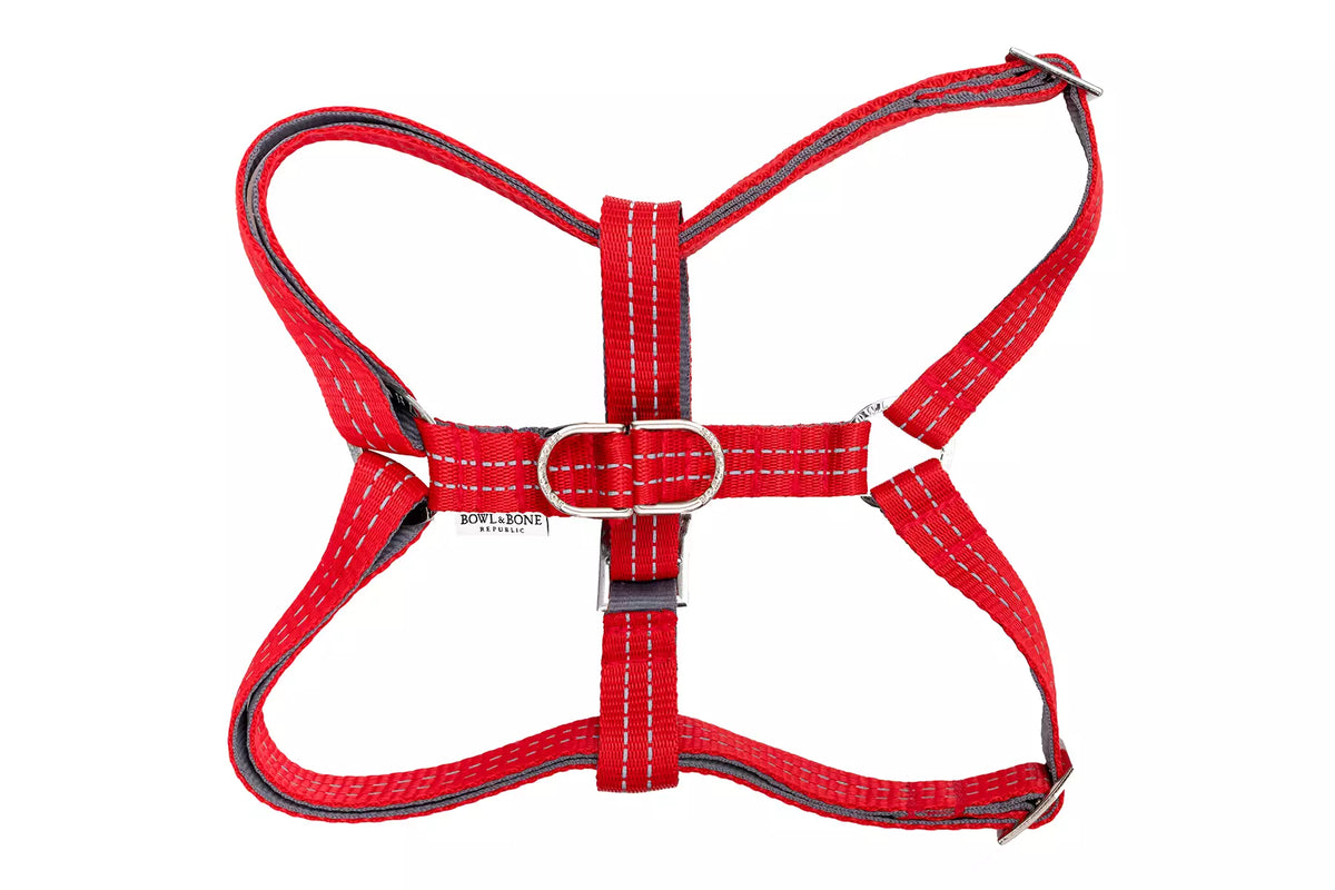 Harnais Active pour Teckel - Rouge