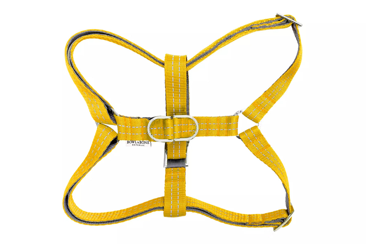 Harnais Active pour Teckel - Jaune