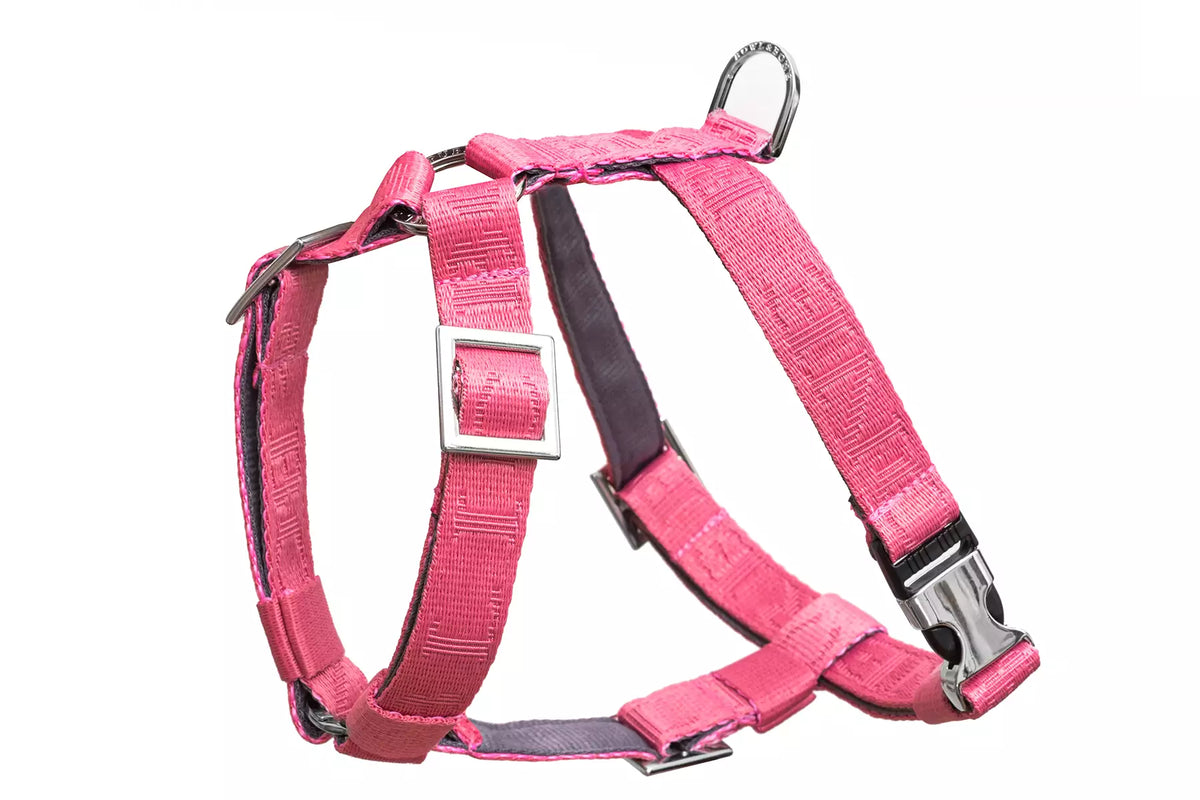 Harnais Bloom pour Teckel - Rose