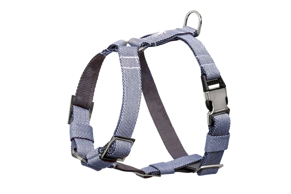 Harnais Breeze pour Teckel - Bleu