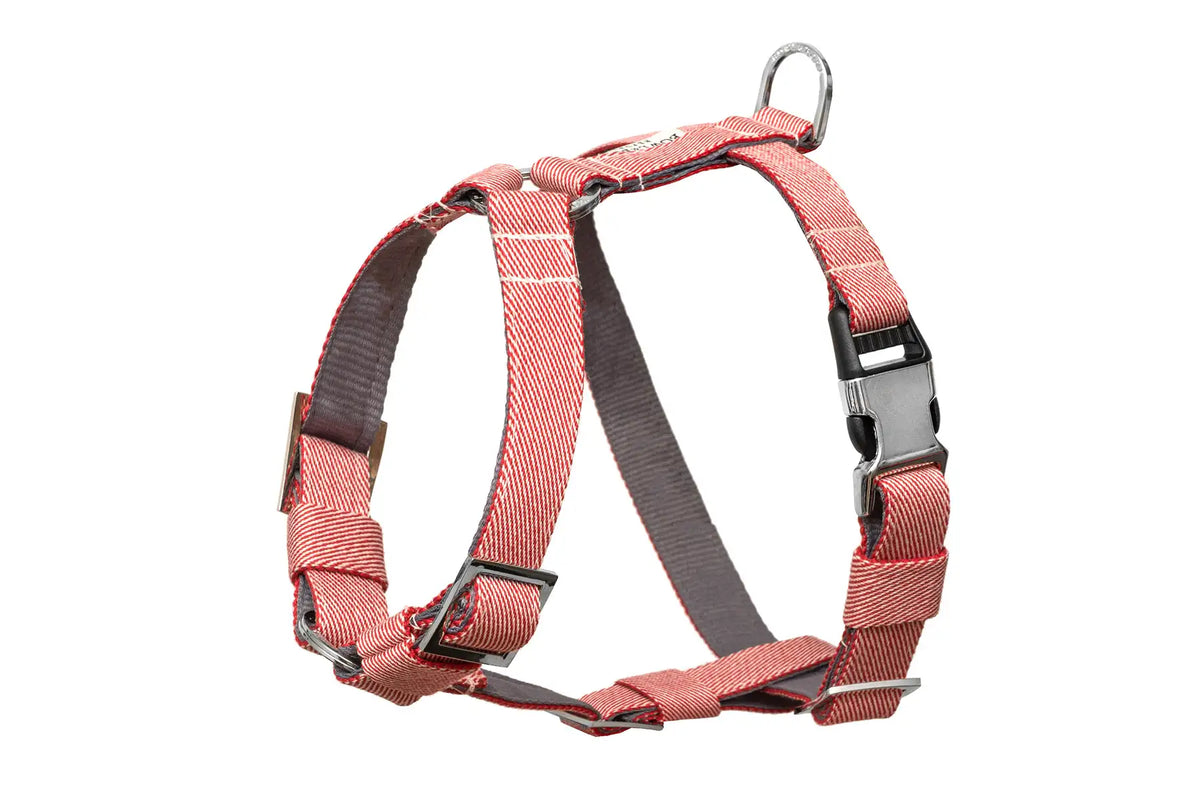 Harnais Breeze pour Teckel - Rouge