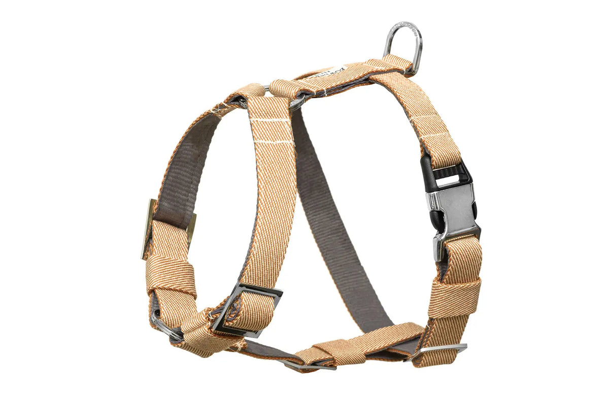 Harnais Breeze pour Teckel - Jaune