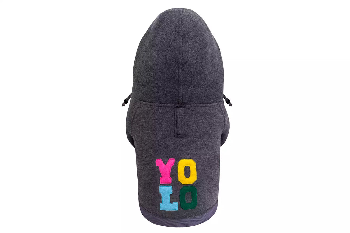 Sweat à Capuche Yolo pour Teckel - Graphite