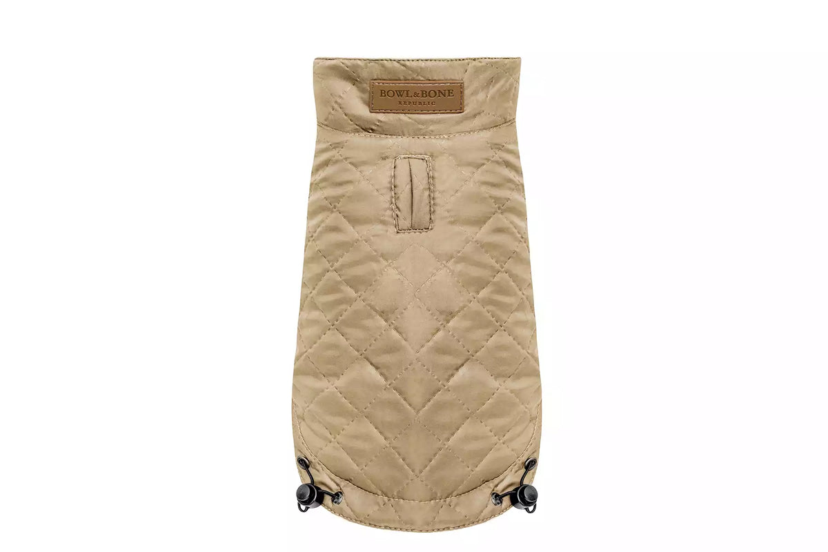 Veste Spirit pour Teckel - Or