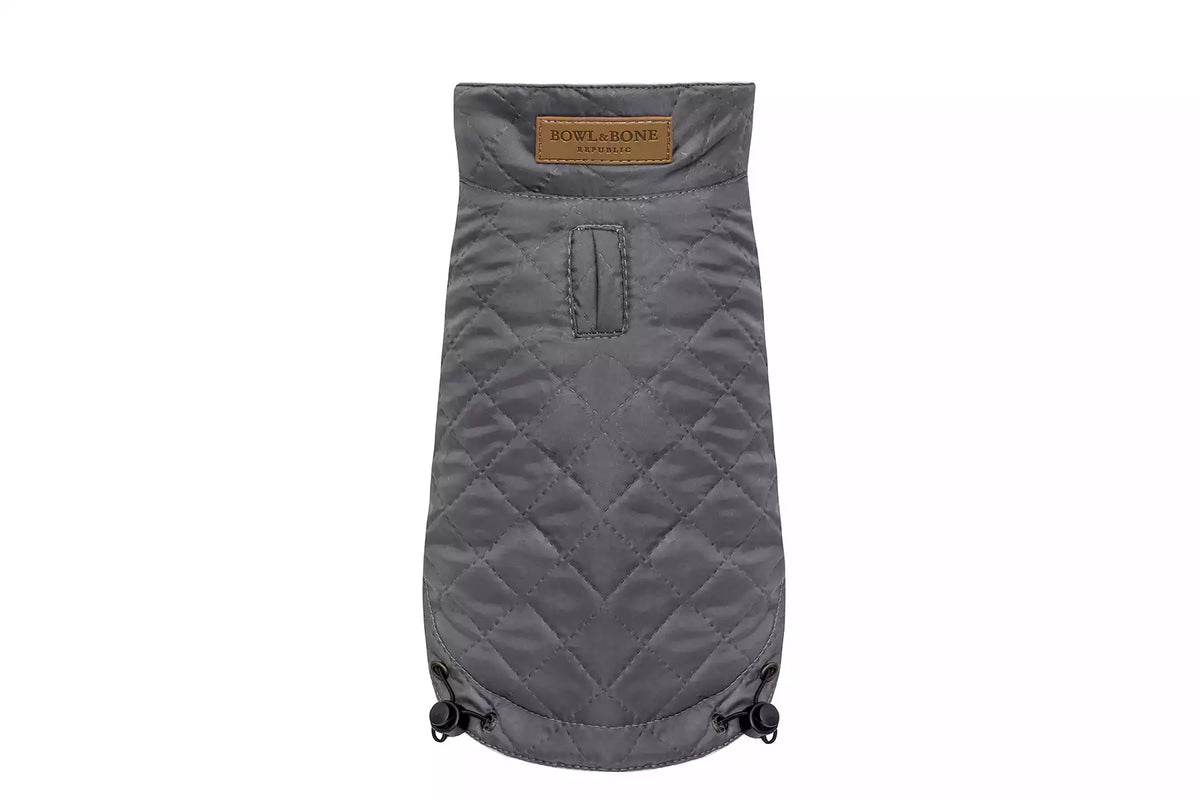 Veste Spirit pour Teckel - Gris