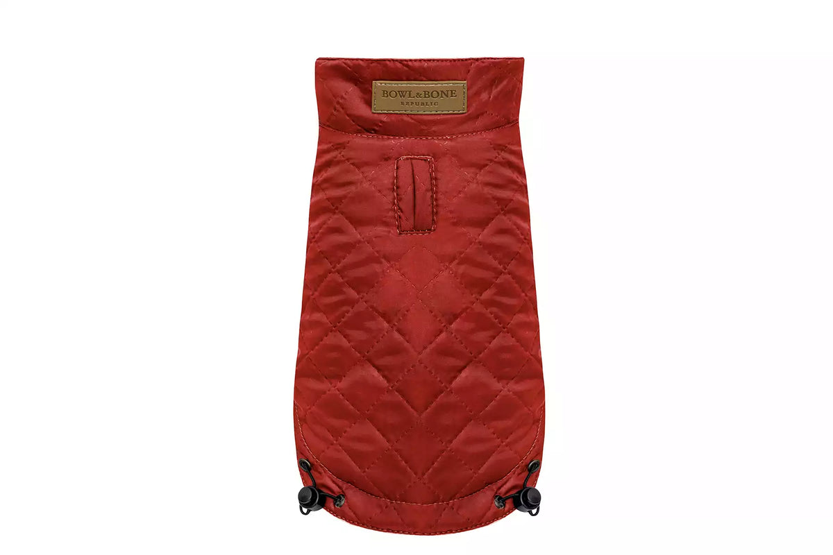 Veste Spirit pour Teckel - Rouge