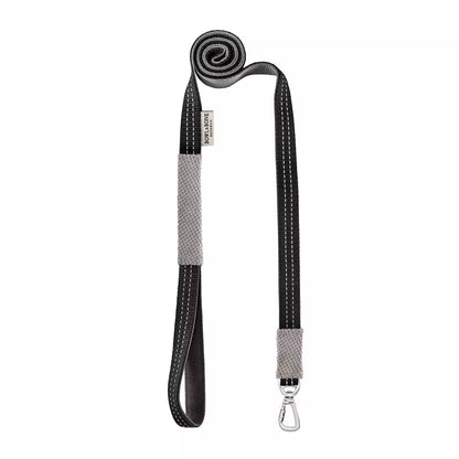 Laisse pour Teckel CANDY