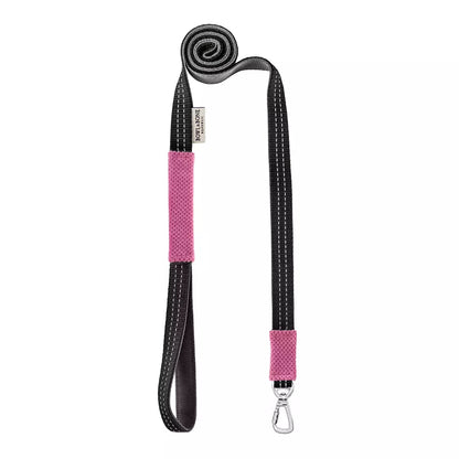 Laisse pour Teckel CANDY