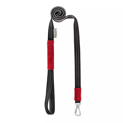 Laisse pour Teckel CANDY