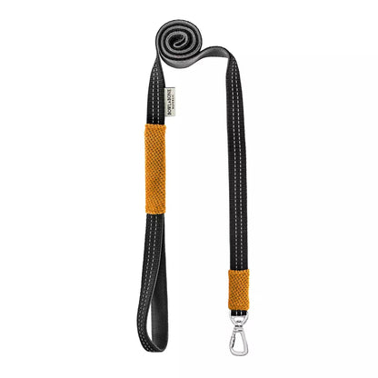 Laisse pour Teckel CANDY
