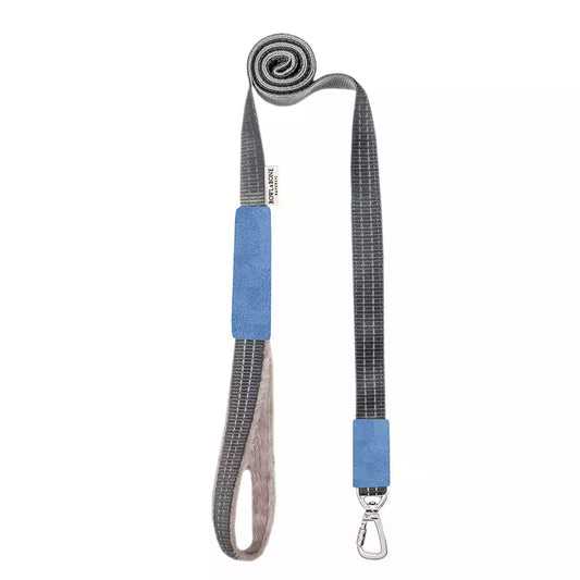 Laisse pour Teckel YETI