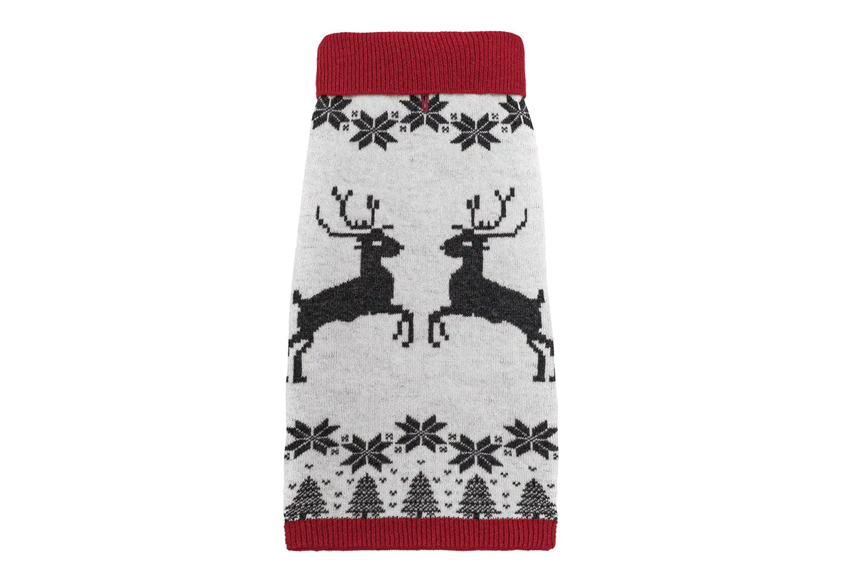 Pull Reindeers pour Teckel - Rouge