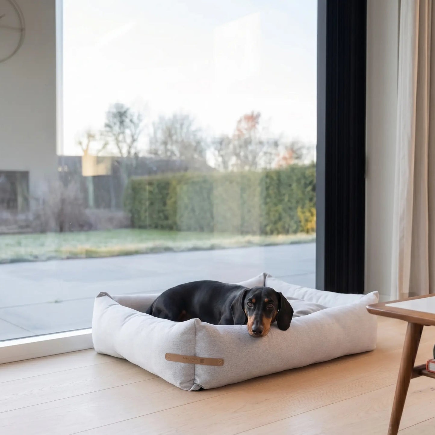 Lit Teckel LOFT