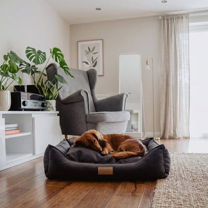 Lit Teckel CLASSIC