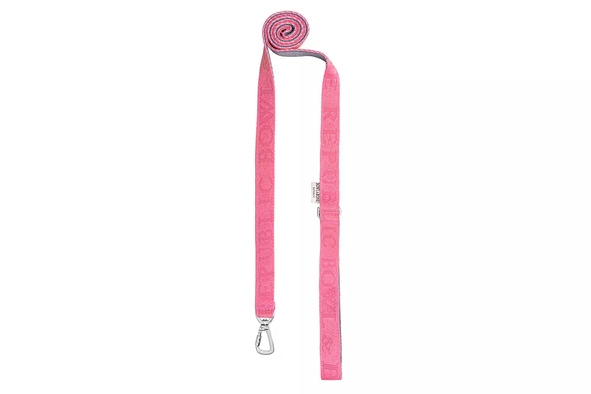 Laisse Bloom pour Teckel - Rose