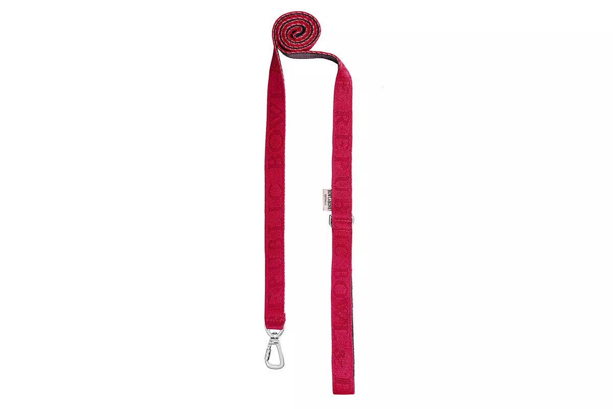 Laisse Bloom pour Teckel - Rouge