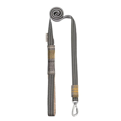 Laisse pour Teckel LEAF