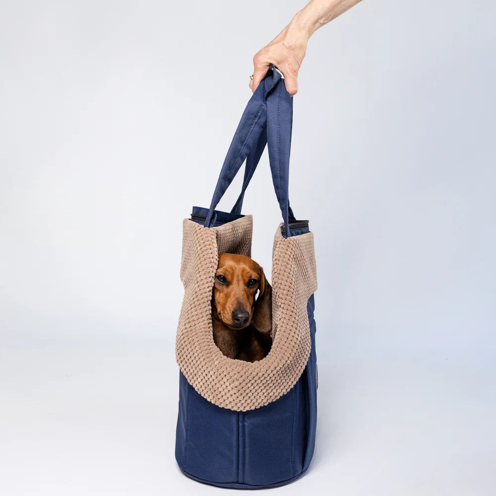 Sac de Transport pour Teckel Bleu