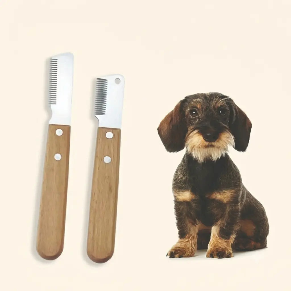 Trimmer Teckel Poil Dur